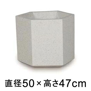 ^  Aؔ R[eX wbNX zCge] 50cm 75bgy[J[EwsEsEsEԕiszyvtFbViz