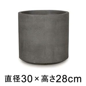 ^  Aؔ R[eX Vh O[ 30cm 12bgy[J[EwsEsEsEԕiszyvtFbViz