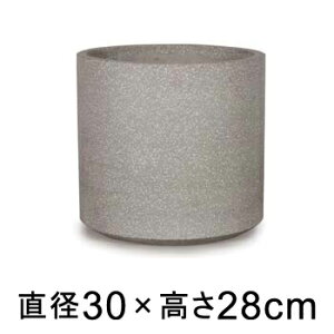  Aؔ R[eX Vh O[e] 30cm 12bgy[J[EwsEsEsEԕiszyvtFbViz
