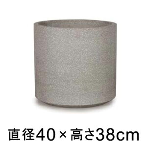^  Aؔ R[eX Vh O[e] 40cm 37bgy[J[EwsEsEsEԕiszyvtFbViz