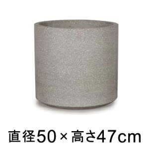 ^  Aؔ R[eX Vh O[e] 50cm 73bgy[J[EwsEsEsEԕiszyvtFbViz