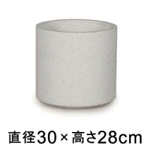  Aؔ R[eX Vh zCge] 30cm 12bgy[J[EwsEsEsEԕiszyvtFbViz