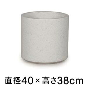 ^  Aؔ R[eX Vh zCge] 40cm 37bgy[J[EwsEsEsEԕiszyvtFbViz