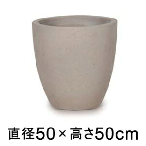 ^  Aؔ R[eX Eh Zg 50cm 47bgy[J[EwsEsEsEԕiszyvtFbViz