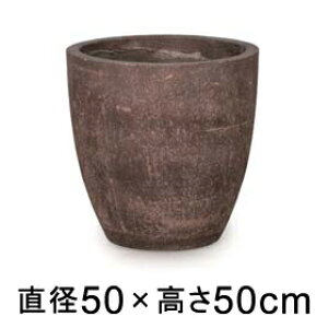 ^  Aؔ R[eX Eh uE 50cm 47bgy[J[EwsEsEsEԕiszyvtFbViz