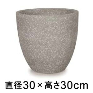 ^  Aؔ R[eX Eh O[e] 30cm 14bgy[J[EwsEsEsEԕiszyvtFbViz