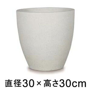  Aؔ R[eX Eh zCge] 30cm 14bgy[J[EwsEsEsEԕiszyvtFbViz