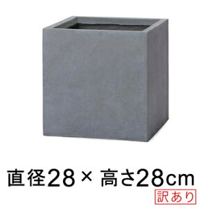 [J[ł͒ʏif̂ły󂠂z x[^ L[u v^[ O[ 28cm 17bg eRb^yʂȃZgv^[ XNGA p^ lp t@Co[ [of30]