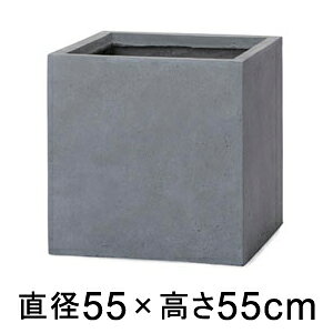 yyVLO܁z ϋvƌyʐ𐶂ރt@Co[Zg x[^ L[u v^[ O[ 55cm 147bgy[J[EwsEsEsEԕis