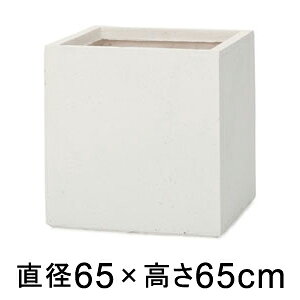 x[^ L[u v^[ zCg 65cm 250L eRb^yʂȃZgv^[y[J[EwsEsEsEԕiszyvtFbVizX
