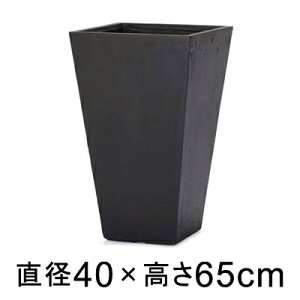 ^  Aؔ [[^ XNGA g[ v^[ ubN 65cm 64bg eRb^yʂȃZgv^[ y[J[EwsEsEsE