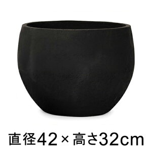 ^  Aؔ @ {E ubN 42cm 30bg y[J[EwsEsEsEԕiszyvtFbViz