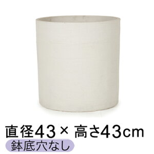 ^  Jo[ 10Ή \N V_[ zCgTh 43cm y[J[EwsEsEsEԕiszyvtFbViz ꌊȂ