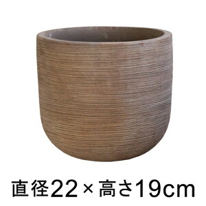  Aؔ egD[v Eh z] 22cm y[J[EwsEsEsEԕiszyvtFbViz