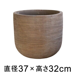 ^  Aؔ egD[v Eh z] 37cm y[J[EwsEsEsEԕiszyvtFbViz