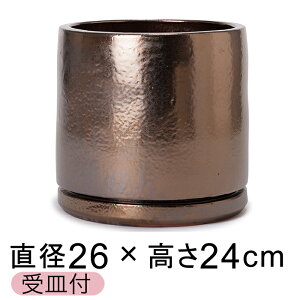 [݂Ǝ̂\ ֖  AؔJo[ rg GfJ uES[hn 26cm Mt y[J[EwsEsEsEԕiszyvtFbViz