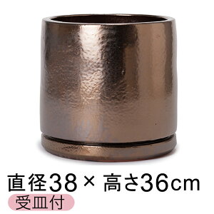 yyVLO܁z[݂Ǝ̂\ ֖  rg GfJ uES[hn 38cm Mt y[J[EwsEsEsEԕiszyvtFbV