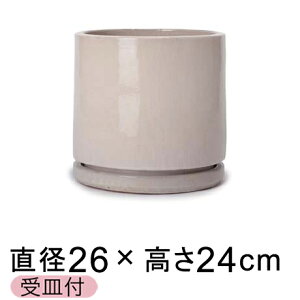 [݂Ǝ̂\ ֖  rg GfJ N[n 26cm Mt y[J[EwsEsEsEԕiszyvtFbViz