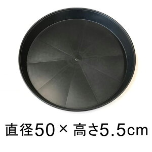 yyVLO܁z M PE h 傫 \[T[ 50cm  K锫꒼a47cmȉ̐Aؔ