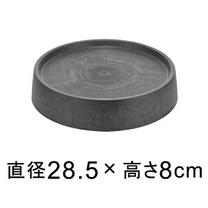 BLX^[t vX`bN M S 28.5cm _[NO[n@K锫꒼a24cmȉ̐Aؔ