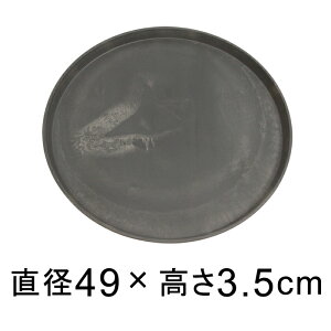 yMzdE M ی^ 49cm `R[n K锫꒼a45cmȉ̐Aؔ