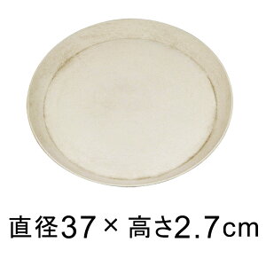 yMzyʁEM  37cm AC{[n K锫꒼a31cmȉ̐Aؔ