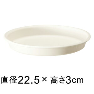 yMzO[v[g 22.5cm zCg K锫O[Rei 24cmA꒼a19cmȉ̐Aؔ