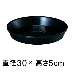 MT[10k30cml ubNK锫꒼a25cmȉ̐Aؔ