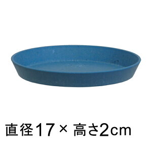 yԎozy݌ɏzyof50zM TXeiu v[g 17cm }[uu[n vX`bN Vv i`