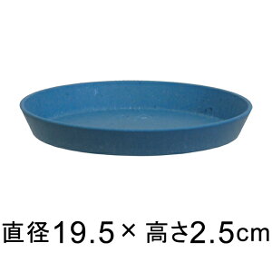 yԎozy݌ɏzyof50zM TXeiu v[g 19.5cm }[uu[n vX`bN Vv i`