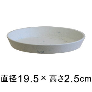 yԎozy݌ɏzyof50zM TXeiu v[g 19.5cm }[uzCgn vX`bN Vv i`