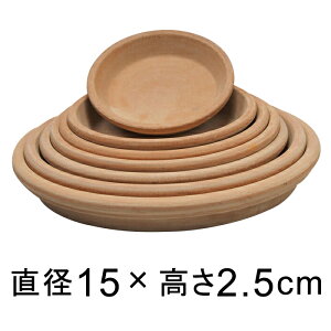 A[i eRb^ M 15cm K锫꒼a11cmȉ̐Aؔ FɌ̍