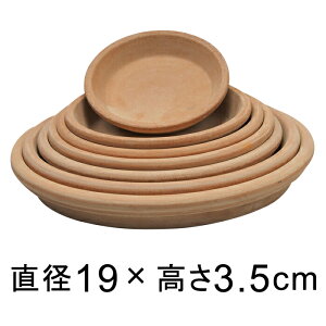 A[i eRb^ M 19cm K锫꒼a14cmȉ̐Aؔ FɌ̍