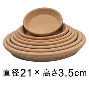 A[i eRb^ M 21cm K锫꒼a16cmȉ̐Aؔ FɌ̍