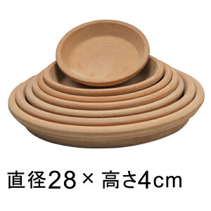 A[i eRb^ M 28cm K锫꒼a22cmȉ̐Aؔ FɌ̍