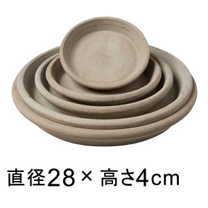 J eRb^ M 28cm K锫꒼a22cmȉ̐Aؔ