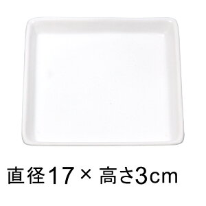  M  △ p 17cm K锫꒼a13cmȉ̐Aؔ