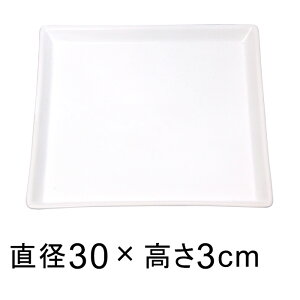  M  △ p 30cm K锫꒼a26cmȉ̐Aؔ