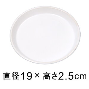  M  △  19cm K锫꒼a16cmȉ̐Aؔ