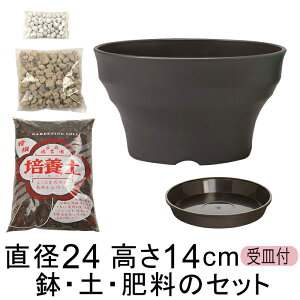  yE엿̃Zbg Aؔ tO[{[ 24cm |{yƔ΂Ɣ엿̃Zbg AC{[/_[NuE/_[NO[I