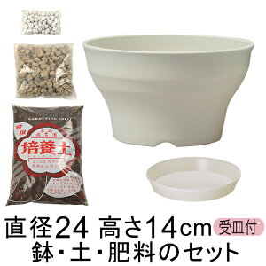  yE엿̃Zbg Aؔ tO[{[ 24cm |{yƔ΂Ɣ엿̃Zbg AC{[/_[NuE/_[NO[I