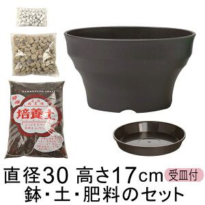 Aؔ  yE엿̃Zbg tO[{[@30cm Ɣ|{yƔ΂Ɣ엿̃Zbg AC{[/_[NuEI