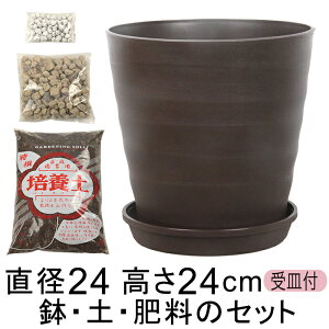  yE엿̃Zbg Aؔ tO[|bg 24cm 8Ɣ|{yƔ΂Ɣ엿̃Zbg AC{[/_[NuE/_[NO[I