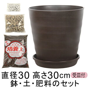  yE엿̃Zbg Aؔ tO[|bg 30cm 10Ɣ|{yƔ΂Ɣ엿̃Zbg AC{[/_[NuE/_[NO[I