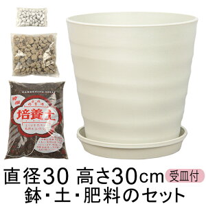  yE엿̃Zbg Aؔ tO[|bg 30cm 10Ɣ|{yƔ΂Ɣ엿̃Zbg