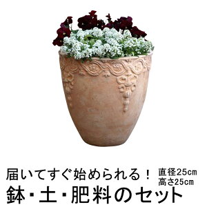 肥料 テラコッタ 植木鉢の通販 価格比較 価格 Com