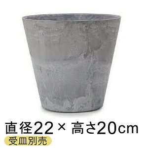 A[gXg[ RjbN 22cm 3bg O[