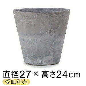 A[gXg[ RjbN 27cm 7bg O[