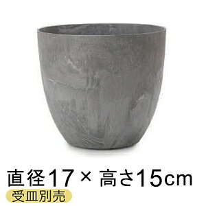 A[gXg[ Eh 17cm 2bg O[