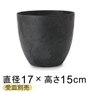 A[gXg[ Eh 17cm 2bg ubN